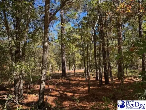 Spencer Street, Lydia, SC 29079