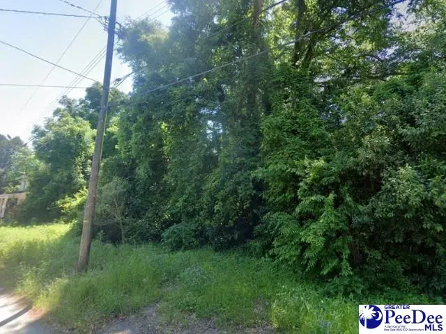 113 Cleveland Street, Darlington, SC 29512 - Image #1