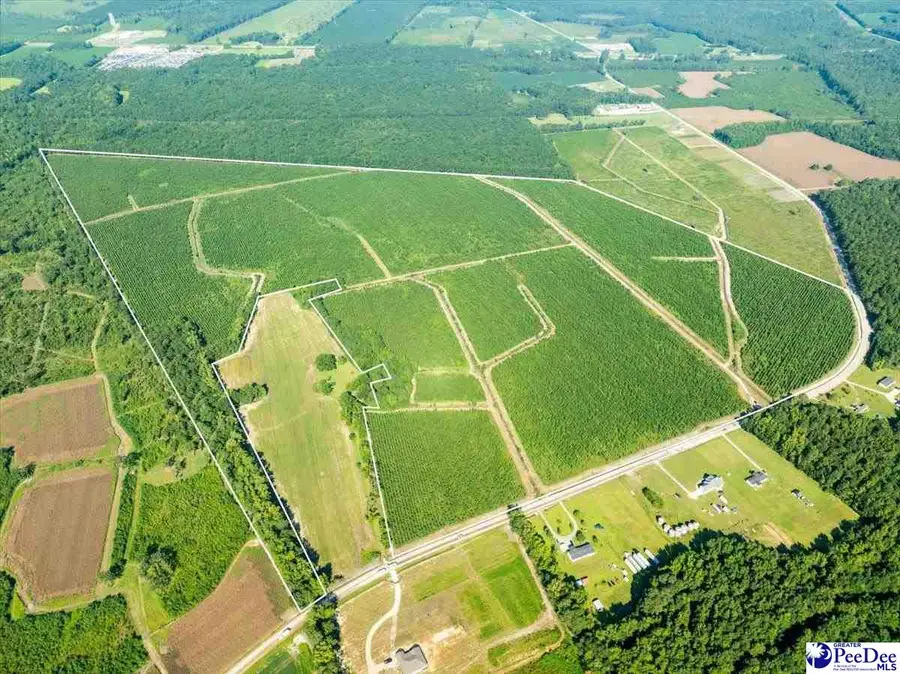 tbd Patty Rd, Cades, SC 29518 - Image #3