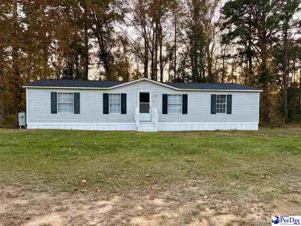 1729 Karudy, Effingham, SC 29541