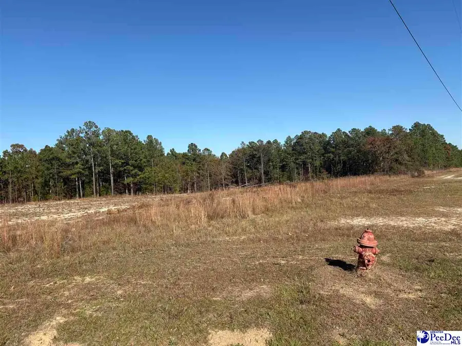 TBD Ruby Rd, Hartsville, SC 29550 - Image #2