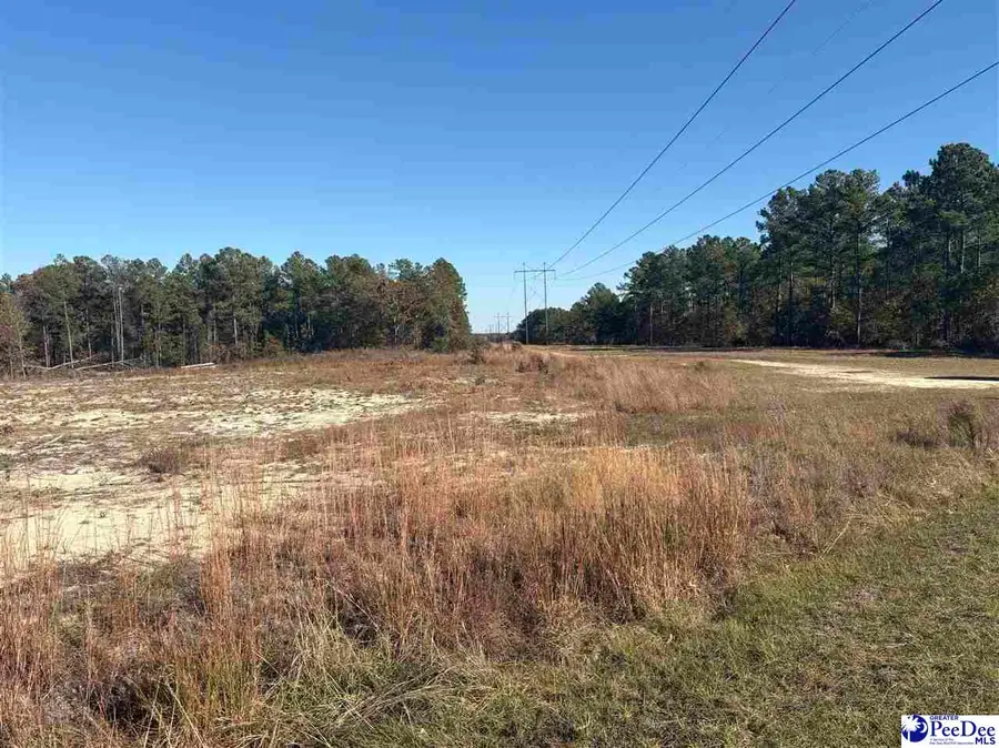 TBD Ruby Rd, Hartsville, SC 29550 - Image #3