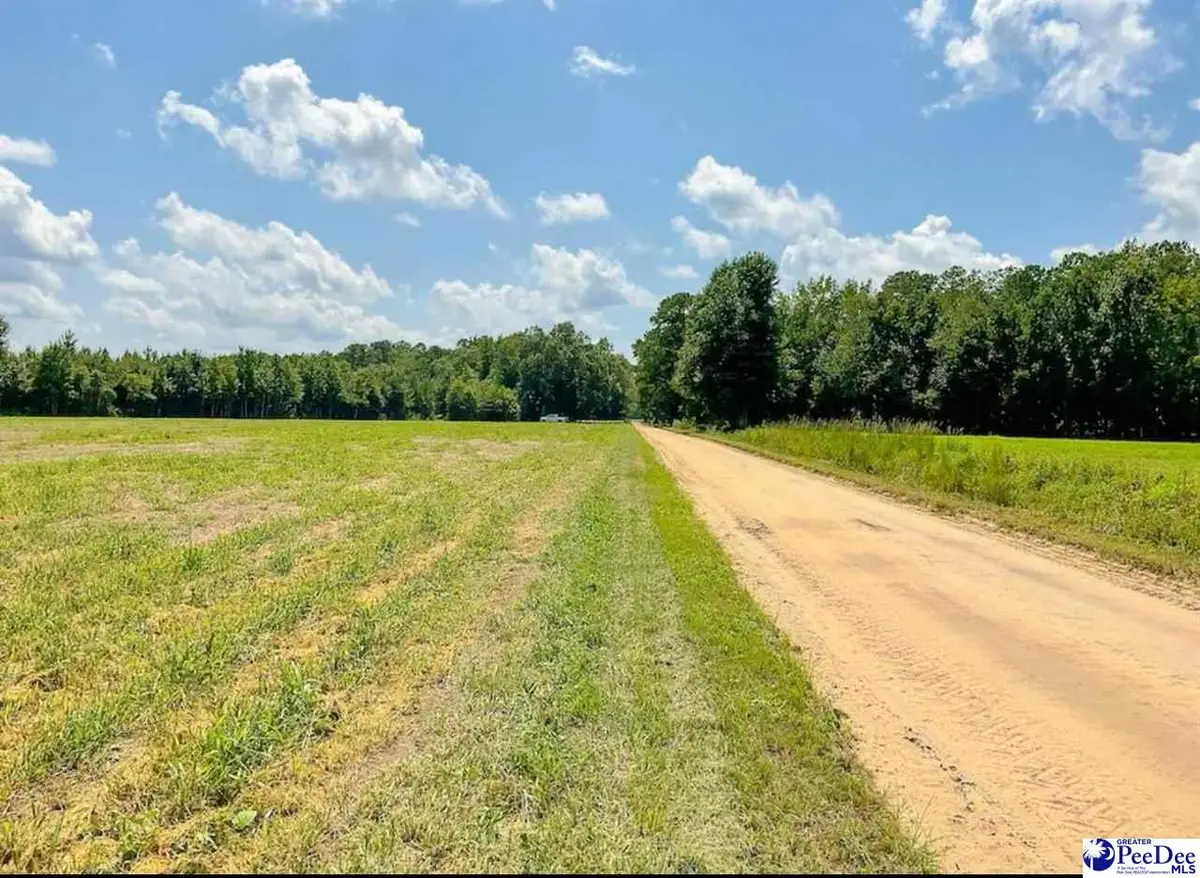 1408 Kelley Rd, Olanta, SC 29114 - Image #1