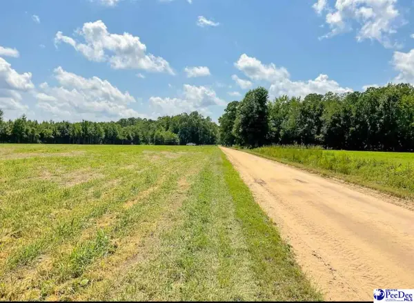 1408 Kelley Rd, Olanta, SC 29114