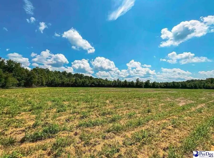 1408 Kelley Rd, Olanta, SC 29114 - Image #2