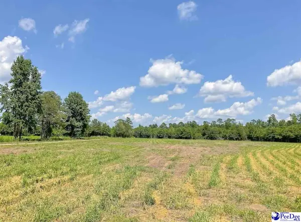 1416 Kelley Rd, Olanta, SC 29114