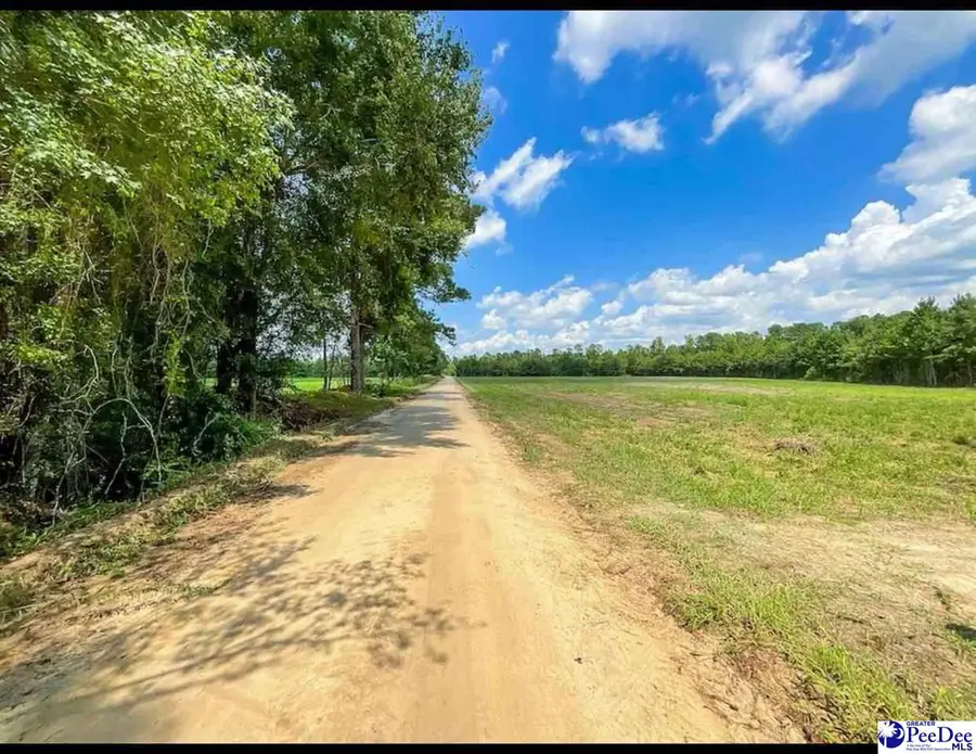 1416 Kelley Rd, Olanta, SC 29114 - Image #2