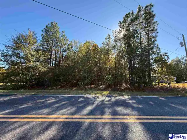 Lot  80 Holly Ave, Mcbee, SC 29101