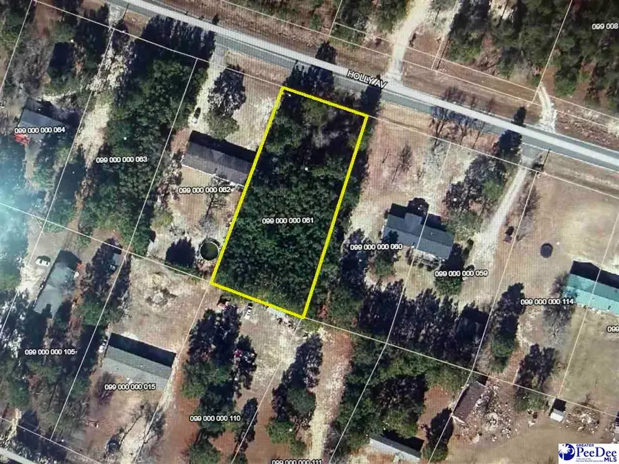 Lot  80 Holly Ave, McBee, SC 29101 - Image #2