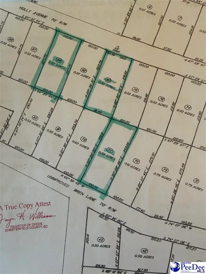 Lot  80 Holly Ave, McBee, SC 29101 - Image #3