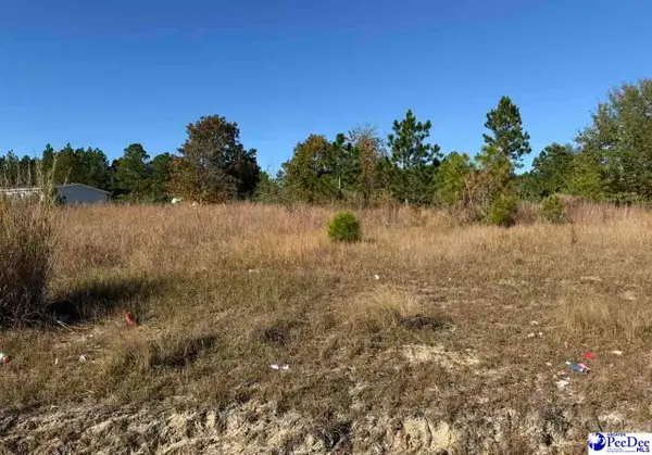 Lot 70 Murray Ln, Mcbee, SC 29101