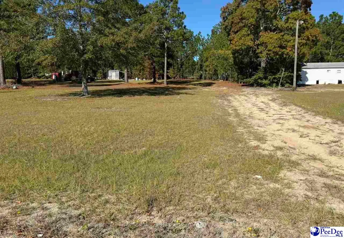 Lot 77 Murray Ln, McBee, SC 29101 - Image #1