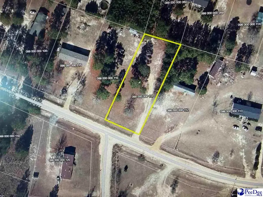 Lot 77 Murray Ln, McBee, SC 29101 - Image #2
