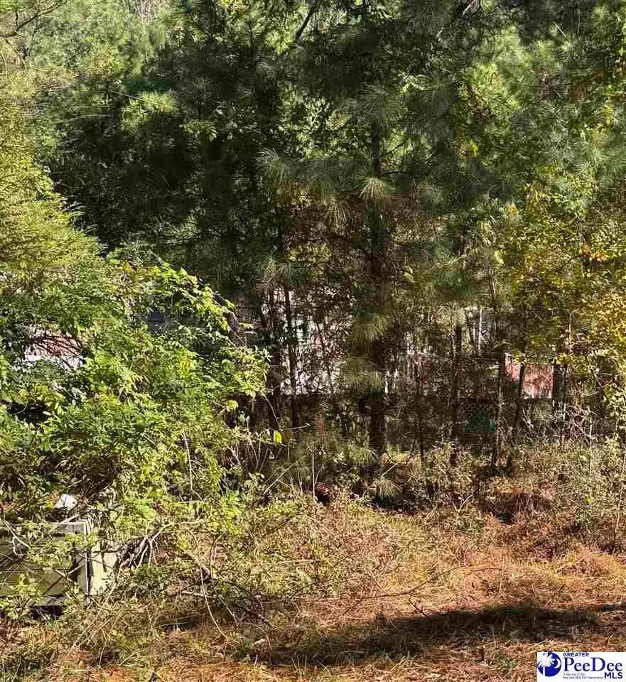 575 Green Bay Rd, Andrews, SC 29510-6063 - Image #1