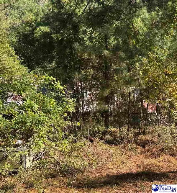 575 Green Bay Rd, Andrews, SC 29510-6063