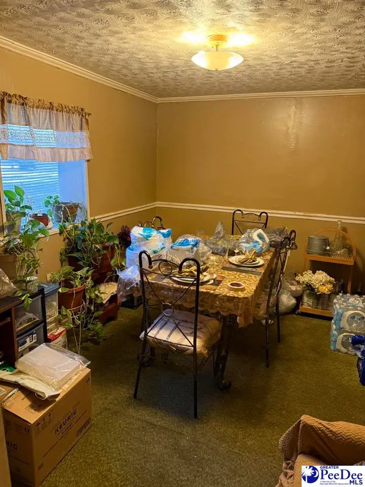 105 Patsy Ln, Cheraw, SC 29520 - Image #2