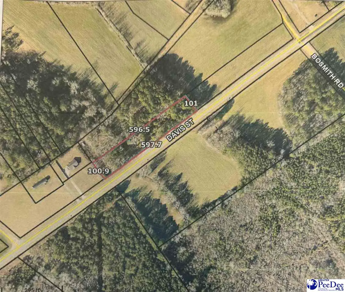 Hwy 401 & Outback Circle, Lamar, SC 29069 - Image #1