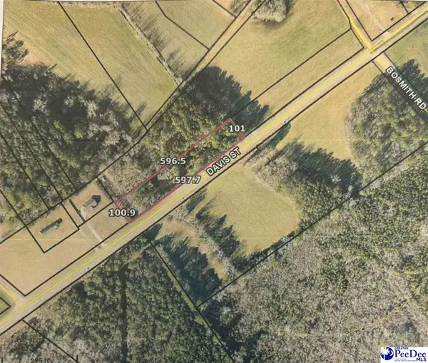 Hwy 401 & Outback Circle, Lamar, SC 29069