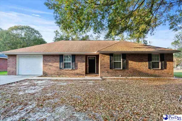 387 Drayton St, Manning, SC 29102