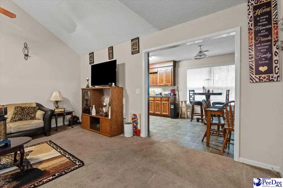 387 Drayton St, Manning, SC 29102 - Image #3