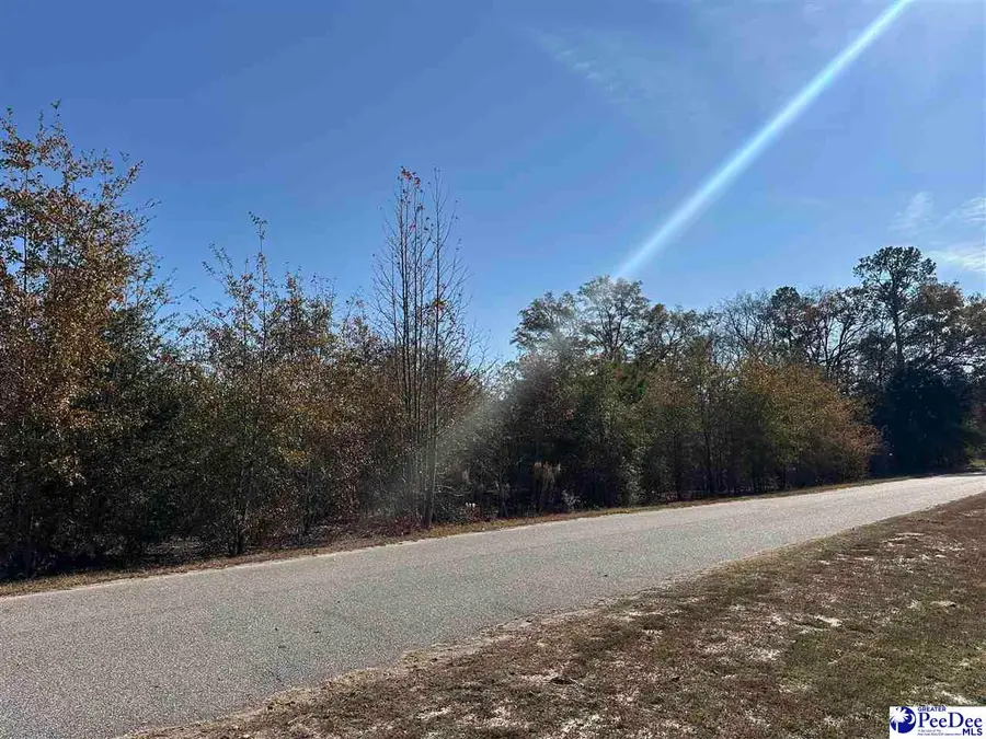 Lot 57 Berry Road, Latta, SC 29565 - Image #3