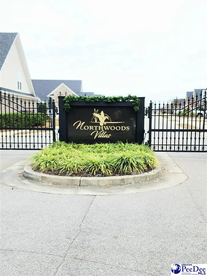 309 Dormie Lane, Columbia, SC 29045 - Image #2