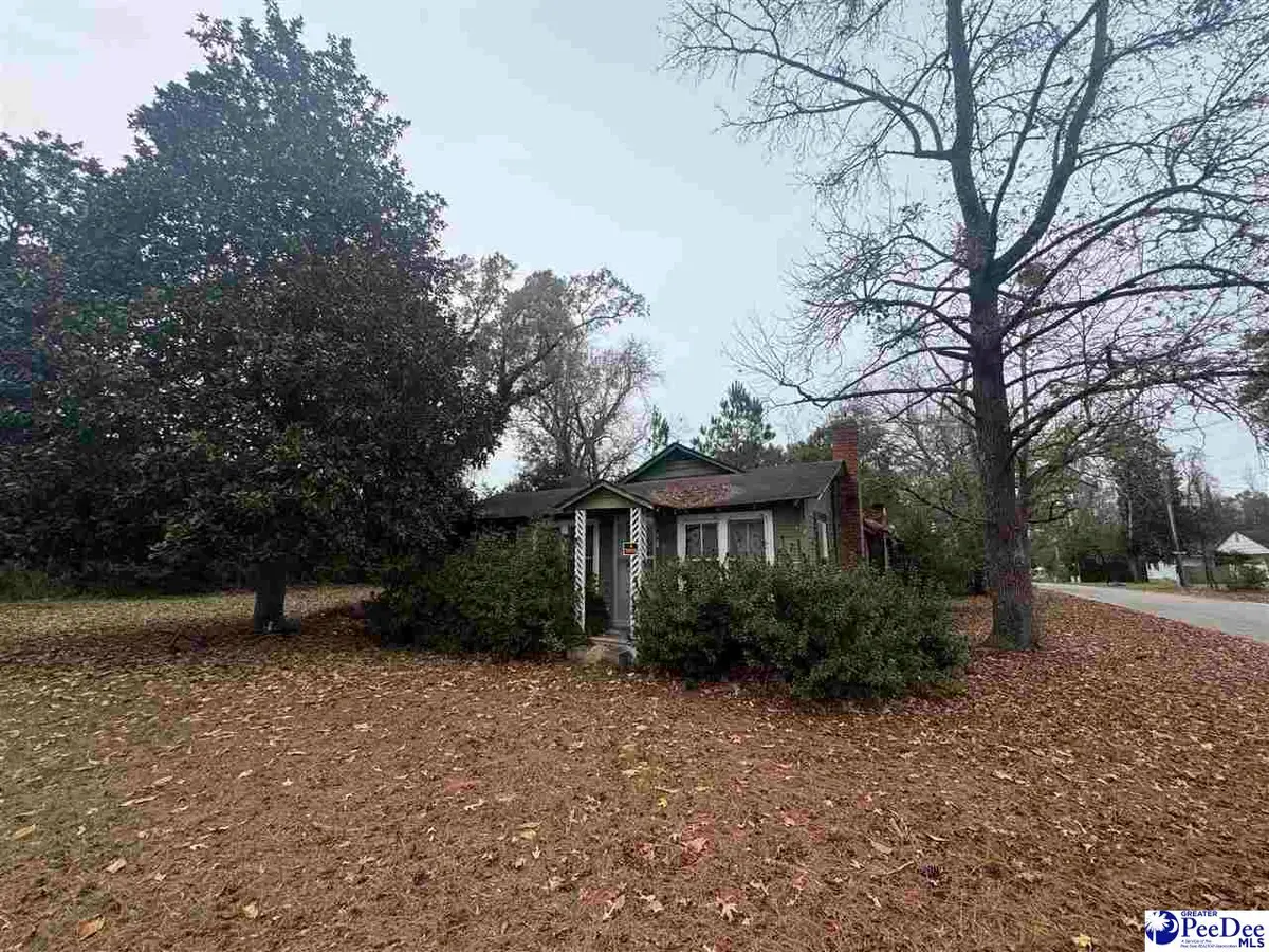 153 E Pine Street, Johnsonville, SC 29555 - Image #1