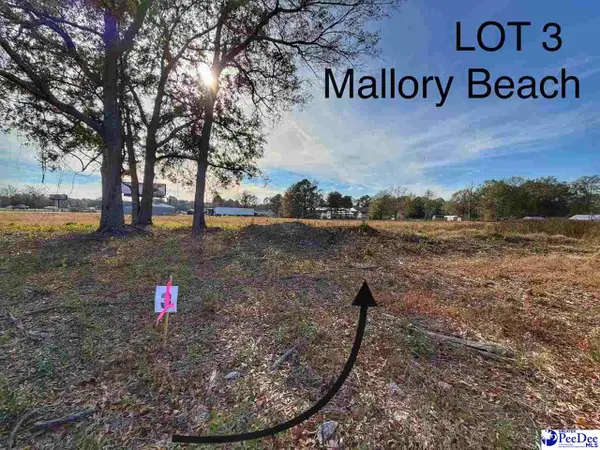 Lot 3 Mallory Beach Road, Latta, SC 29565