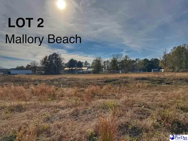 Lot 2 Mallory Beach Road, Latta, SC 29565