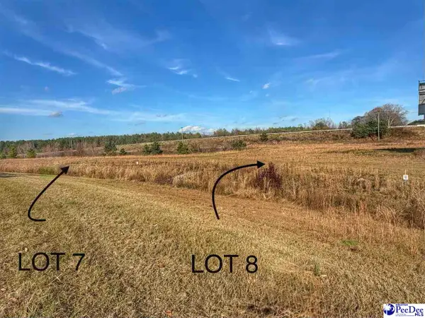 Lot 8 Mallory Beach Road, Latta, SC 29565