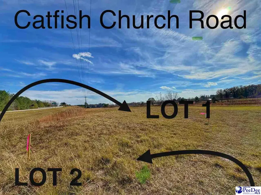 Lot 1 Catfish Church Road, Latta, SC 29565 - Image #3
