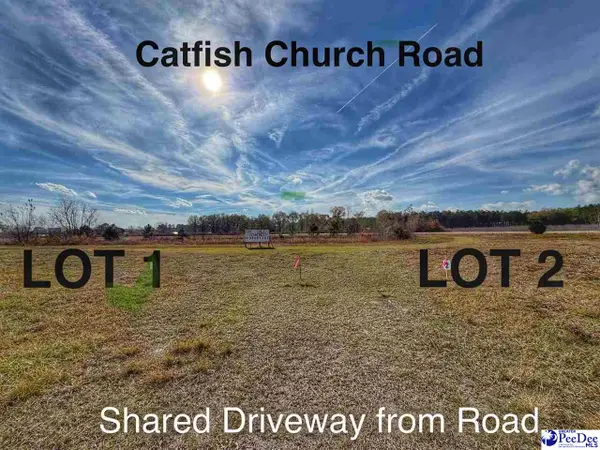Lot 2 Catfish Church Road, Latta, SC 29565