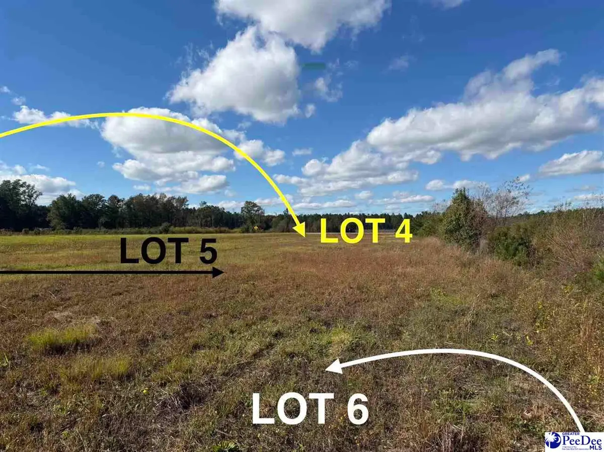 Lot 4 Mallory Beach Road, Latta, SC 29565 - Image #1