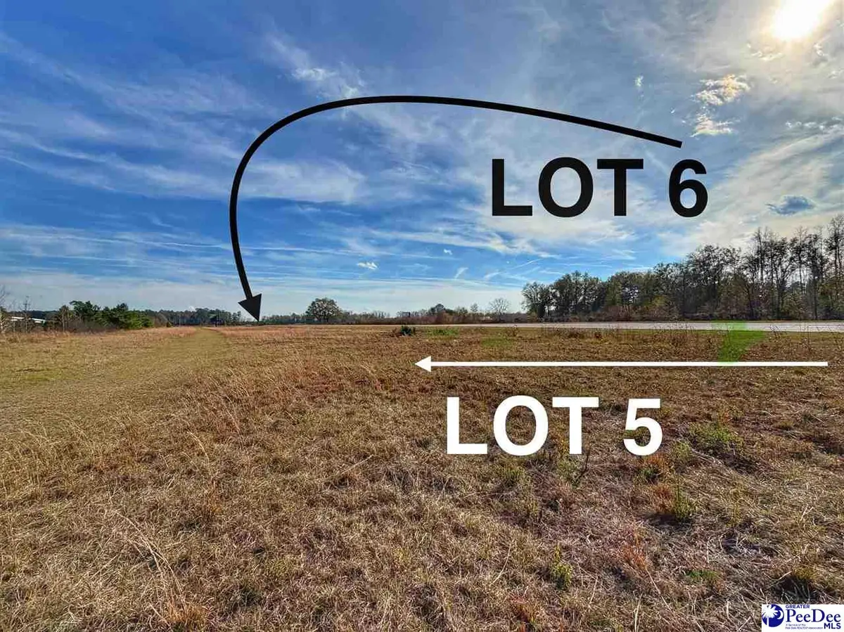 Lot 5 Mallory Beach Road, Latta, SC 29565 - Image #1