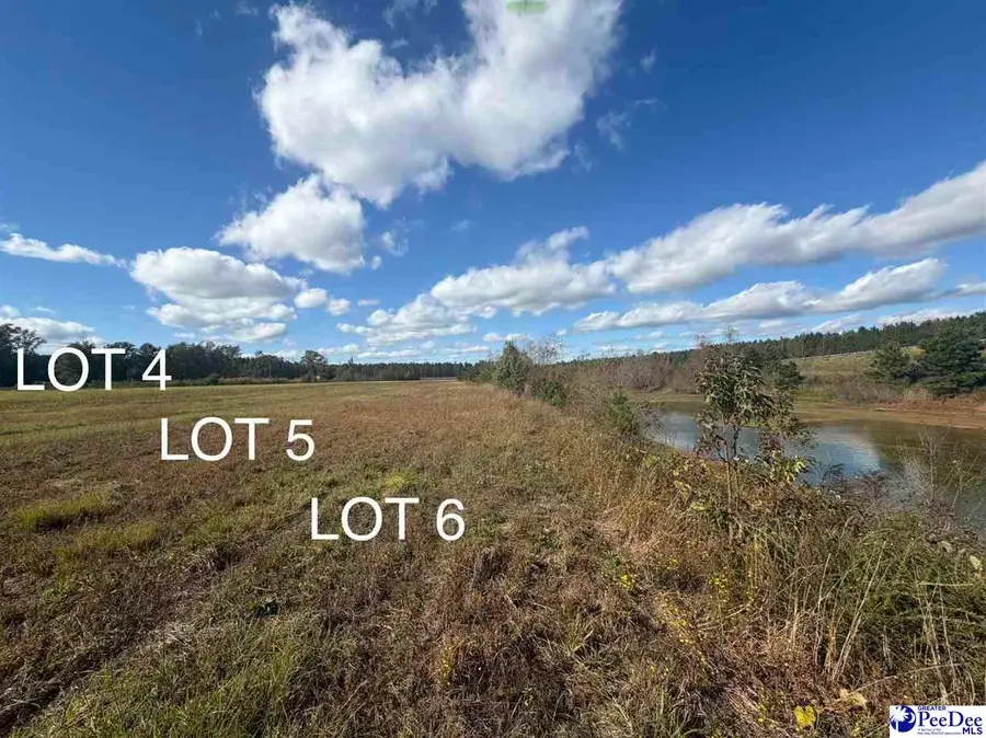 Lot 5 Mallory Beach Road, Latta, SC 29565 - Image #3