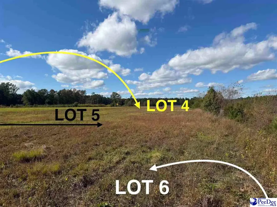 Lot 6 Mallory Beach Road, Latta, SC 29565 - Image #2