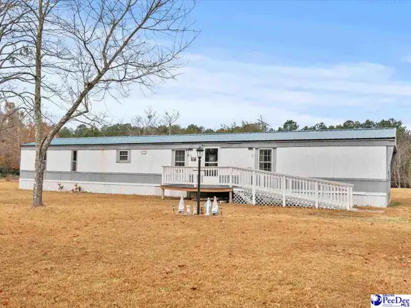 3231 Rocky Ridge Rd, Wallace, SC 29596
