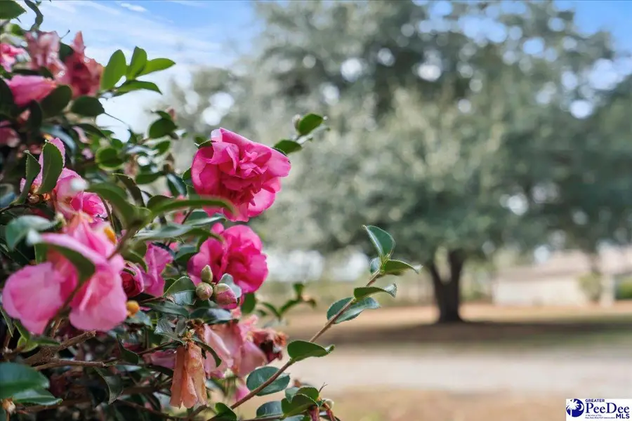 618 E Cricklewood Dr., Florence, SC 29505 - Image #3