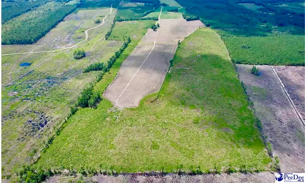 TBD Hwy 527, New Zion, SC 29111 - Image #1