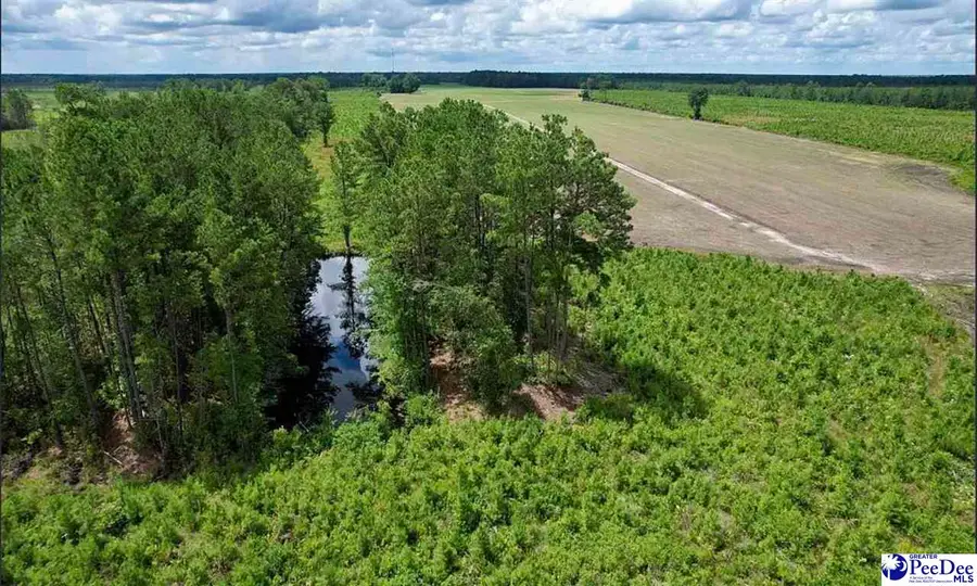 TBD Hwy 527, New Zion, SC 29111 - Image #2