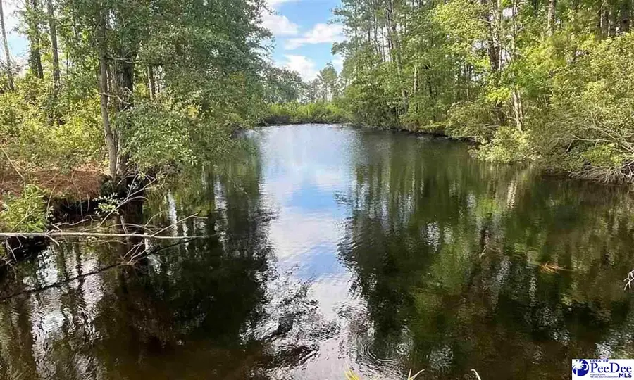 TBD Hwy 527, New Zion, SC 29111 - Image #3