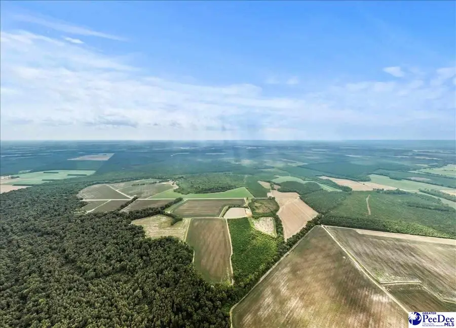 1000 W Sellers Rd, Sellers, SC 29592 - Image #2