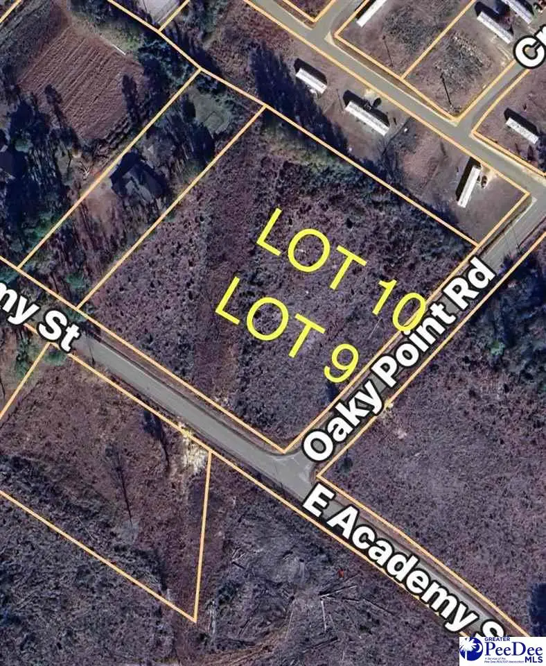 Lot 9 Oaky Point Road, Latta, SC 29565 - Image #1