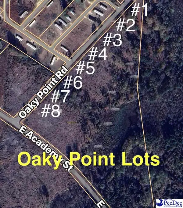 Lot 2 Oaky Point Road, Latta, SC 29565