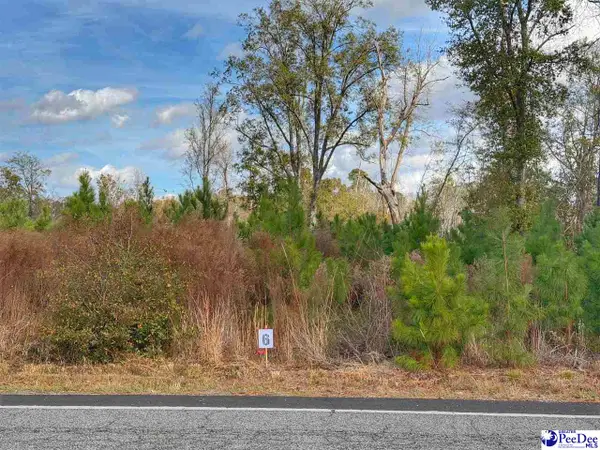 Lot 6 E Academy Street Ext., Latta, SC 29565