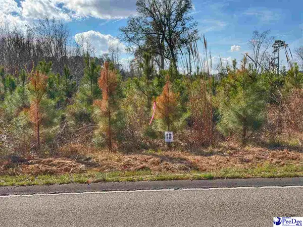 Lot 13 E Academy Street Ext., Latta, SC 29565