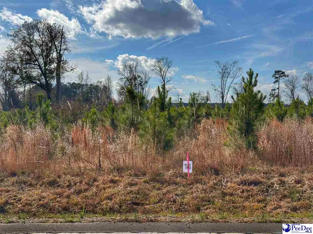 Lot 14 E Academy Street Ext., Latta, SC 29565 - Image #1