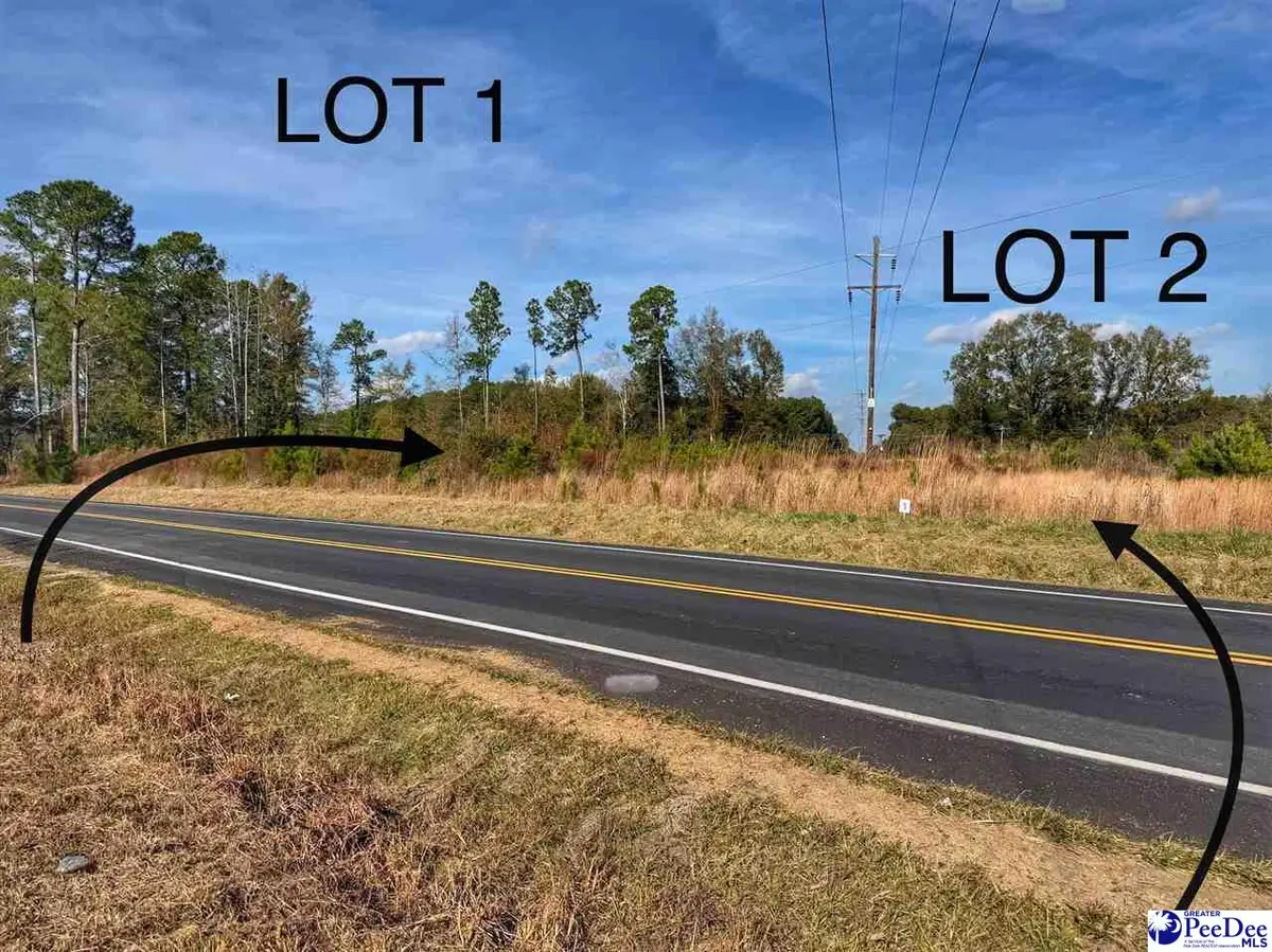 Lot 1 E Academy Street Ext., Latta, SC 29565 - Image #1