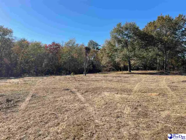 3400 Confederate Street, Darlington, SC 29540