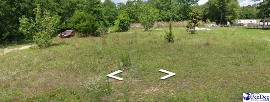 3400 Confederate Street, Darlington, SC 29540 - Image #2